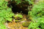 2014-07-05_Laengental-N-Hochweg (959). JPG